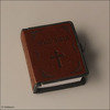 (선주문) Precious Bible (Brown)