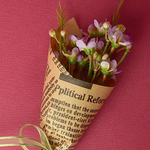 Middle Waxflower Bouquet (Violet)