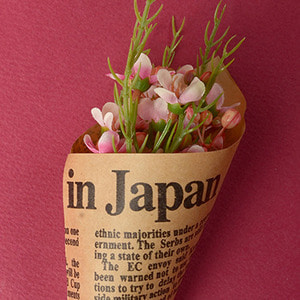 Middle Waxflower Bouquet (Pink)