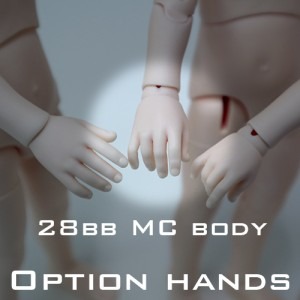 28bb MC body option hands