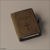 Precious Bible (Ocher)