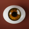 [22mm] Classic Flat Back Oval Glass Eyes (CC-09)