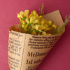 Middle Waxflower Bouquet (Yellow)